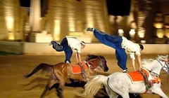 alf (1)